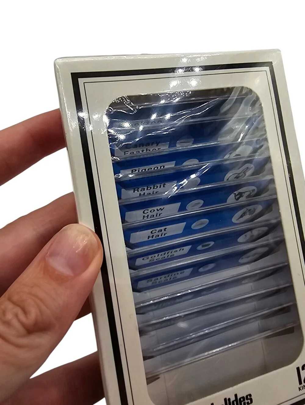 12 Prepared Microscope Slides Set of Animals Insects Plants Flowers